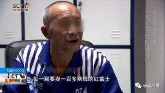 00后老大爷爆料视频大全,揭秘00后老大爷爆料的神奇视频大全 第2张 00后老大爷爆料视频大全,揭秘00后老大爷爆料的神奇视频大全 第2张